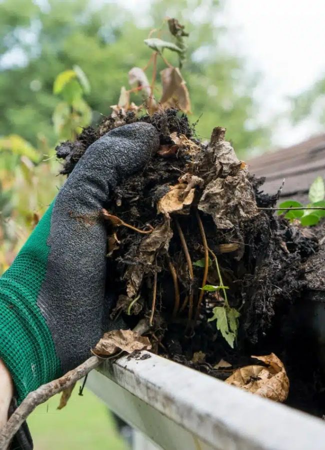 gutter cleaning services company near me in sugar land tx 021